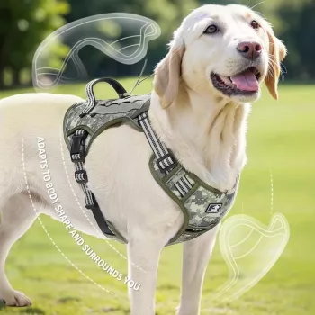Large-Breed Tactical No-Pull Harness: Handle & Fit Guide